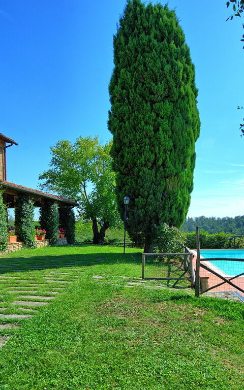 Il Frantoio: Eksteriør, Hage