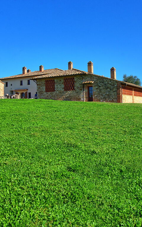 Fornacino: Eksteriør, Hage, Utendørs