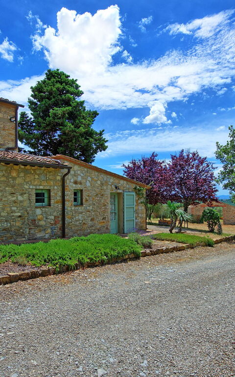 San Donato: Hage, Utendørs