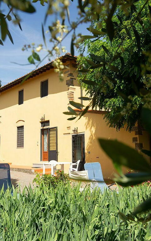 Le Vasche: Hage, Utendørs