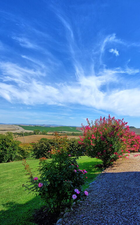 San Donnino: Hage, Utendørs