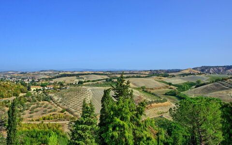 Feriebolig Certaldo 2: Visningar