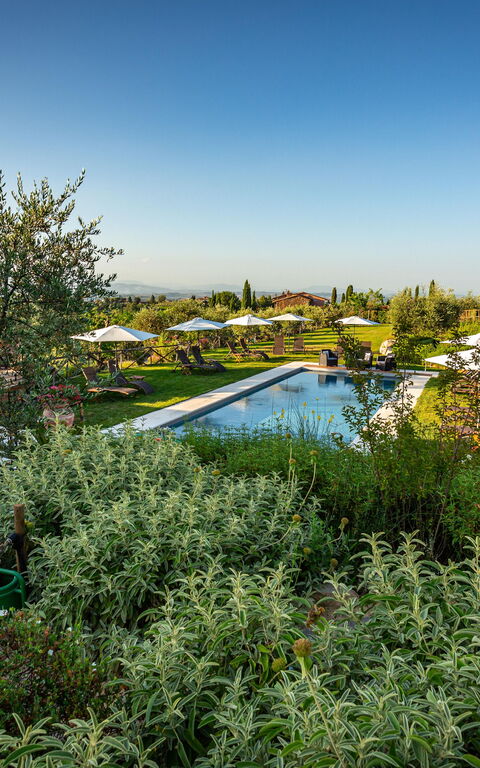 Villa Amadeo: basseng, Eksteriør, Hage, Utendørs, Visningar