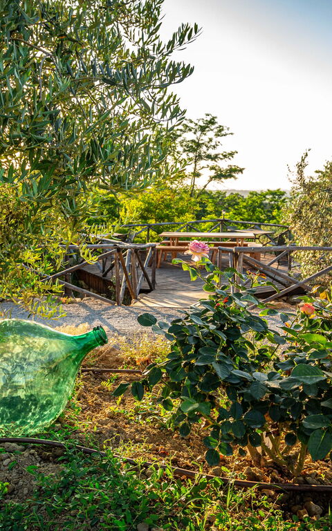 Villa Amadeo: Eksteriør, Hage, Utendørs