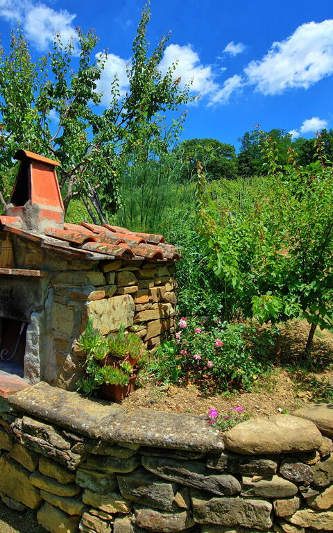 Villa Lo Scoiattolo: Hage, Utendørs