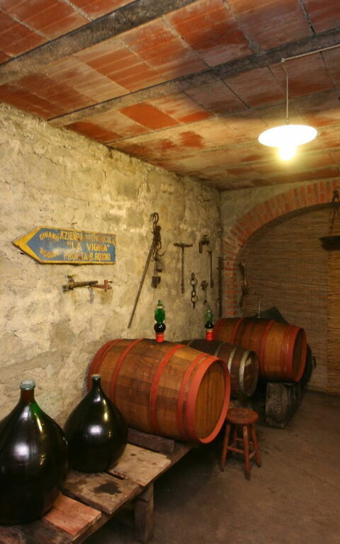 Villa Lo Scoiattolo: Aktiviteter