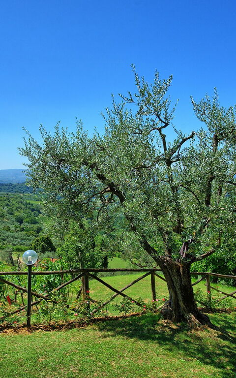 Casa Lucia: Visningar