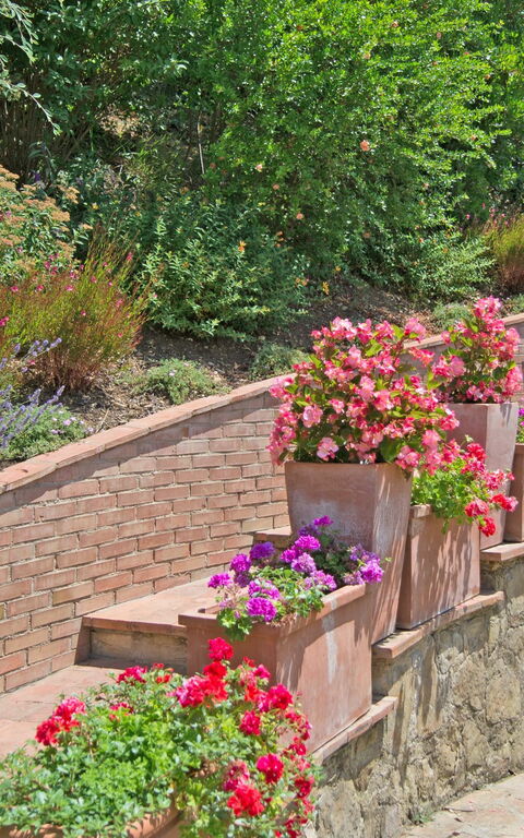 Casa Lucia: Utendørs