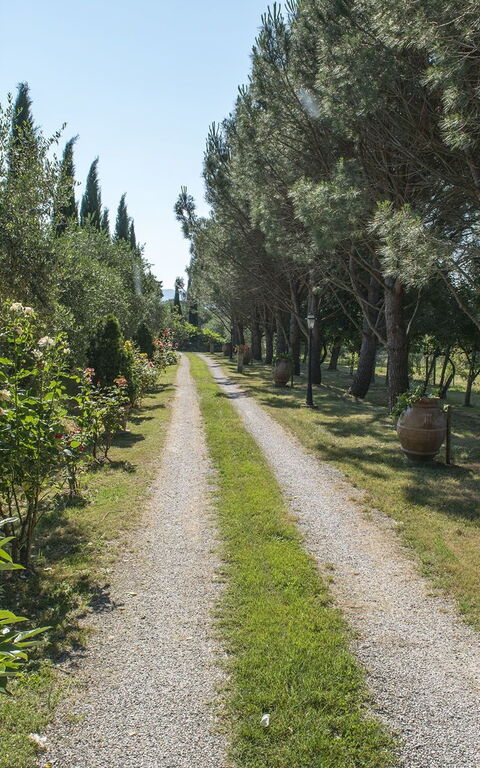 Villa Elisa: Hage