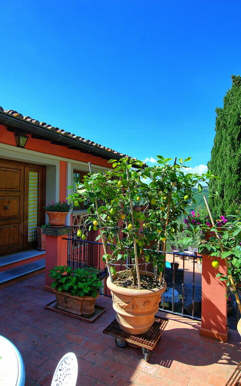 Casa Vania: Hage, Utendørs