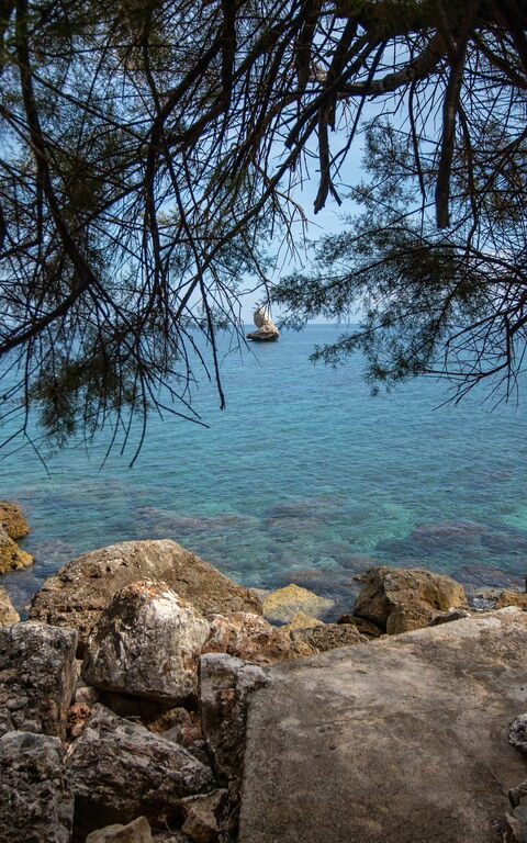 Villa Contrada: Utendørs