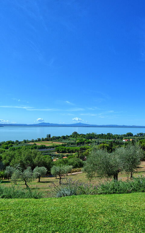 Villa Le Murate: Hage, Visningar