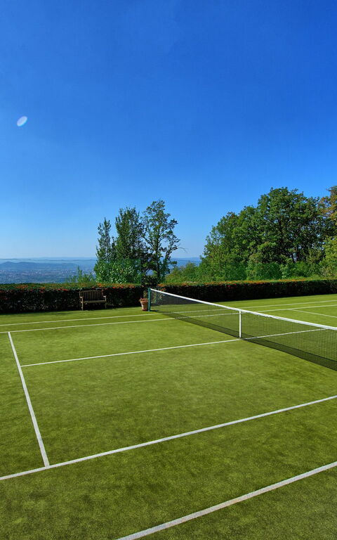 Gellino: Aktiviteter