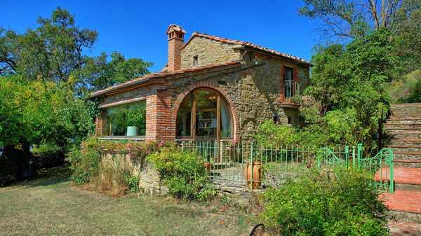 Gellino: Eksteriør, Hage