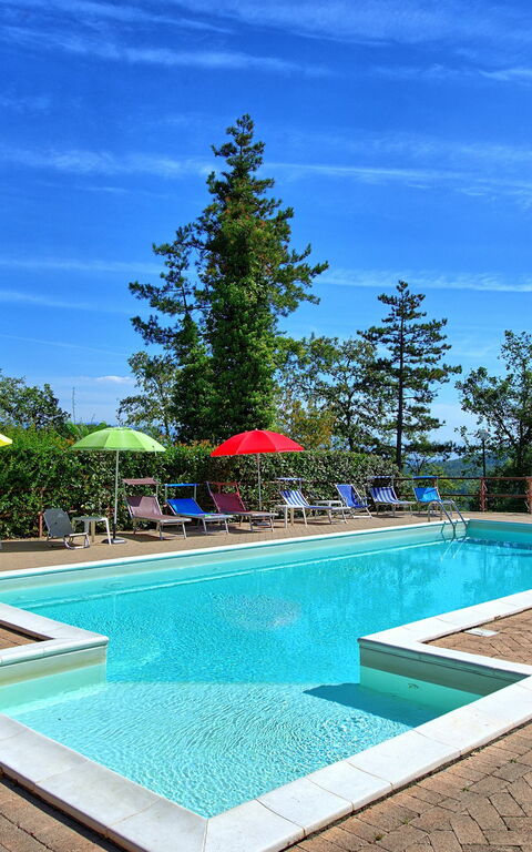 Villa Lorenzo: basseng