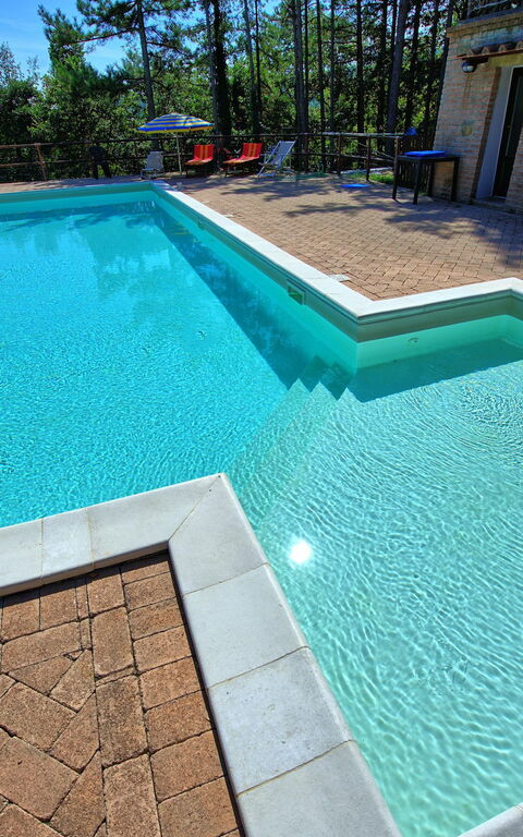 Villa Lorenzo: basseng