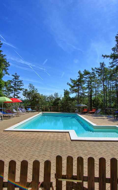 Villa Lorenzo: basseng, Hage