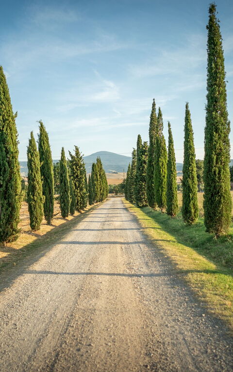 Villa Cassia: Utendørs, Visningar
