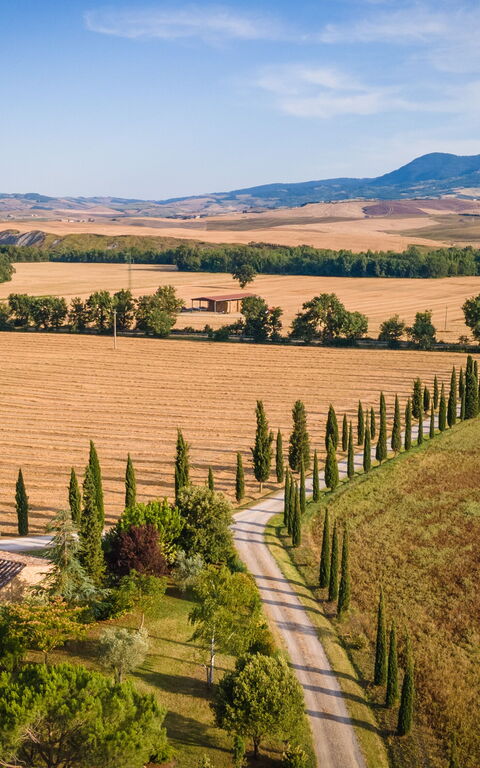 Villa Cassia: Visningar