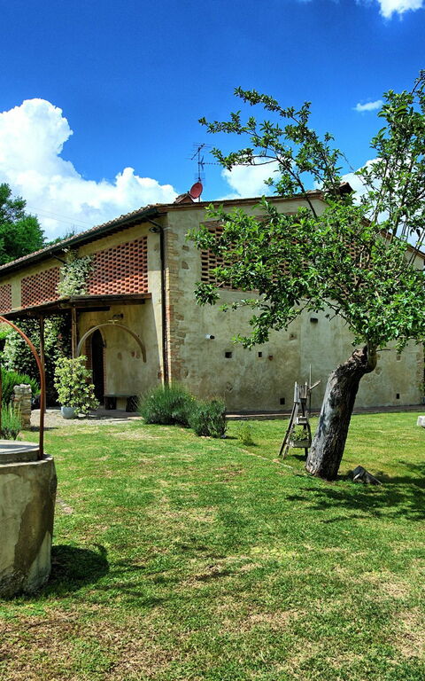 Villa Diletta: Hage