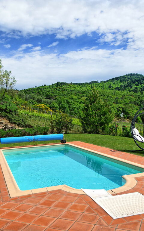 Villa Barbischio: basseng, Hage