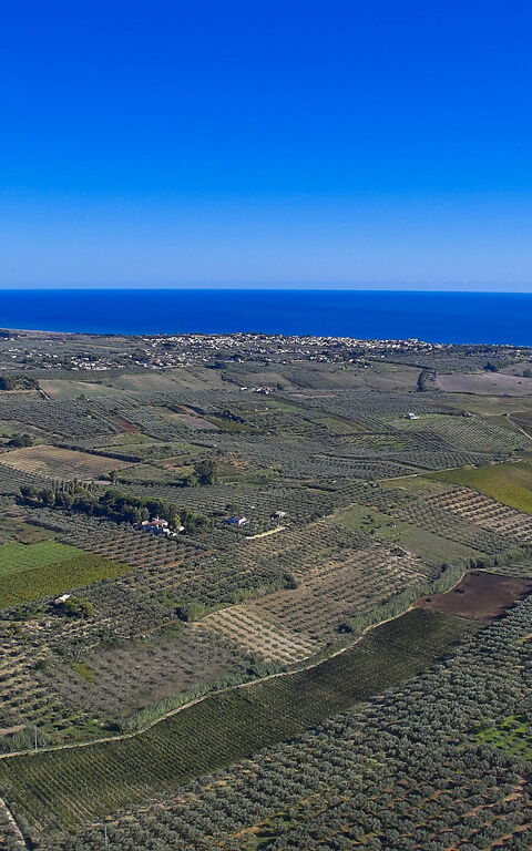 Villa Oasi: Visningar