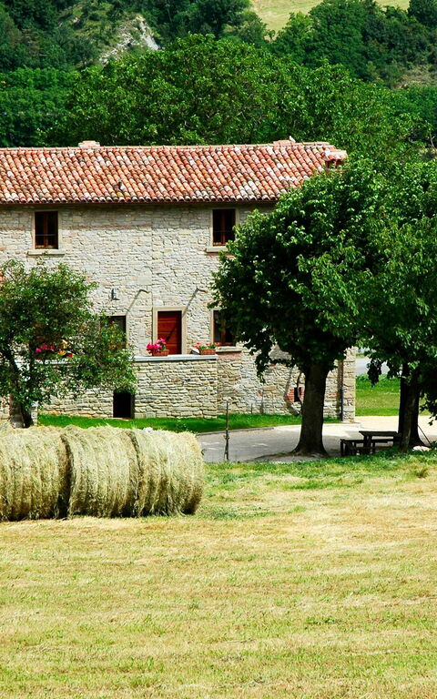Marradi: Utendørs, Visningar