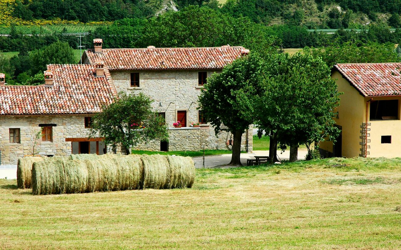 Marradi: Utendørs, Visningar