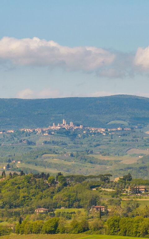 Villa Ferdinando: Utendørs