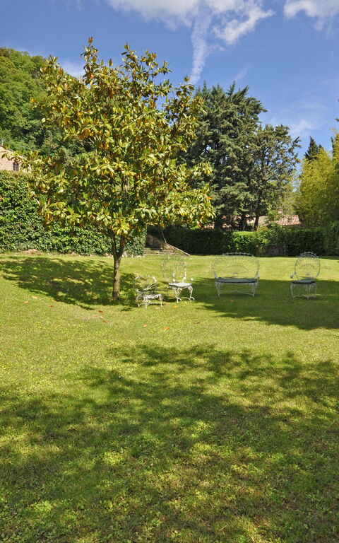 Civetta: Eksteriør, Hage