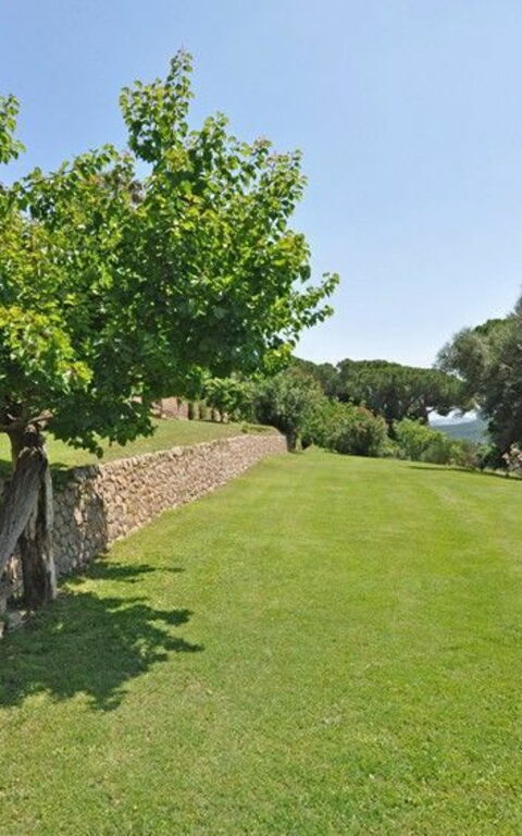 Il Principe: Visningar