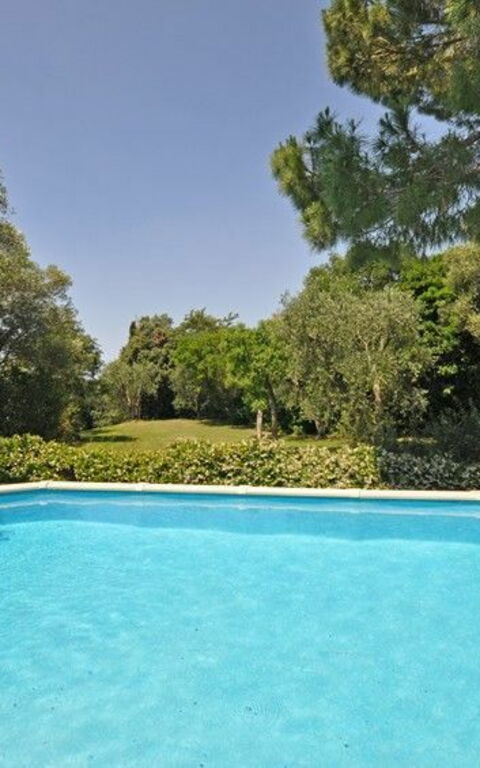 Il Principe: basseng