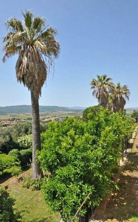 Il Principe: Eksteriør, Hage, Utendørs