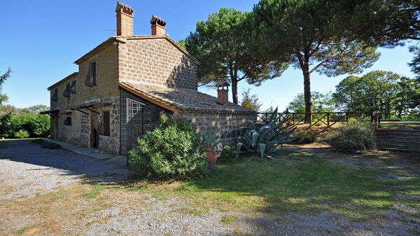 Ginestrella: Eksteriør, Hage