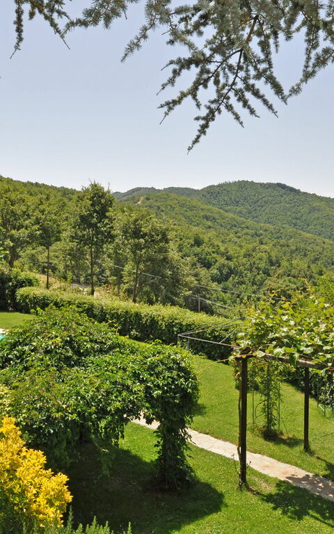 Villa Dame: basseng, Hage