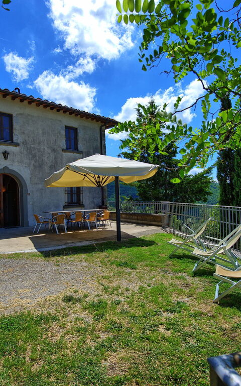 Panzalla: Eksteriør