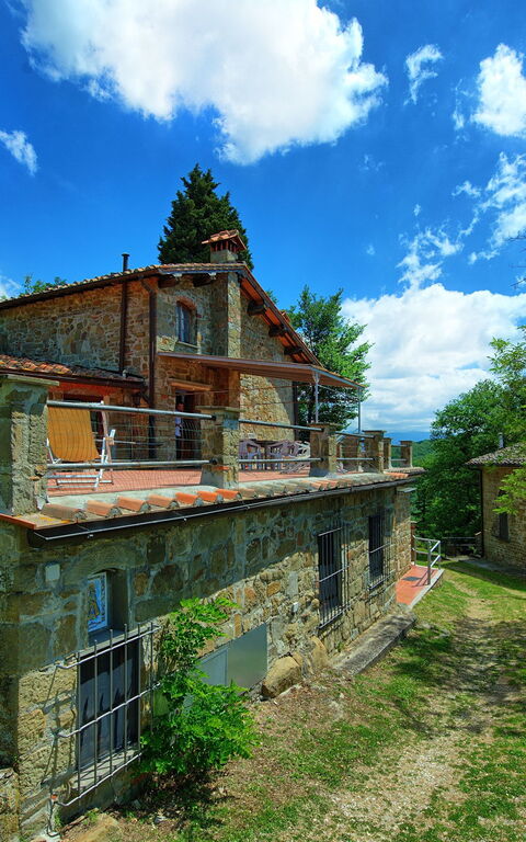 Panzalla: Eksteriør, Hage