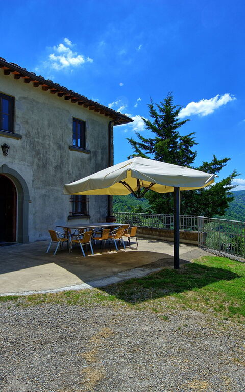 Panzalla: Eksteriør, Hage