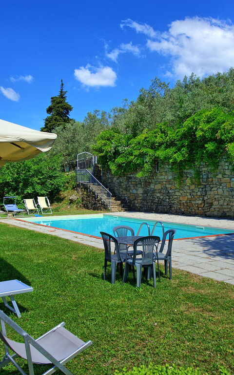 Panzalla: basseng, Hage