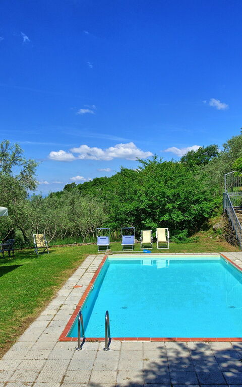 Panzalla: basseng, Hage