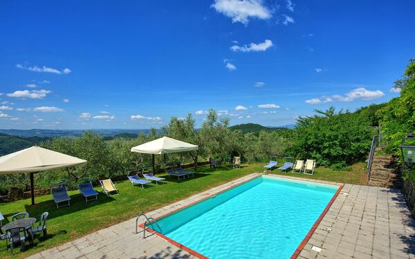 Panzalla: basseng, Hage