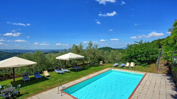 Panzalla: basseng, Hage