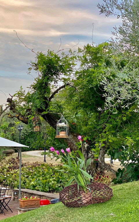 Villa Ulivi: Hage, Utendørs, Visningar