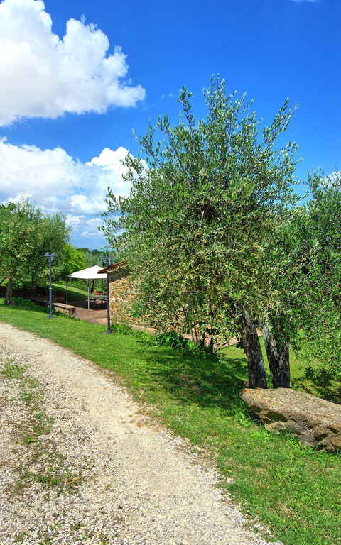 Villa Ulivi: Eksteriør, Hage, Utendørs