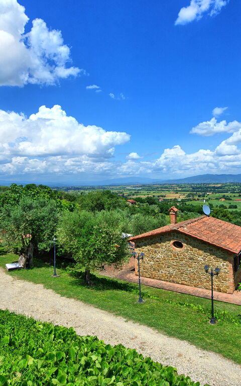 Villa Ulivi: Eksteriør, Hage, Sommer, Utendørs, Visningar
