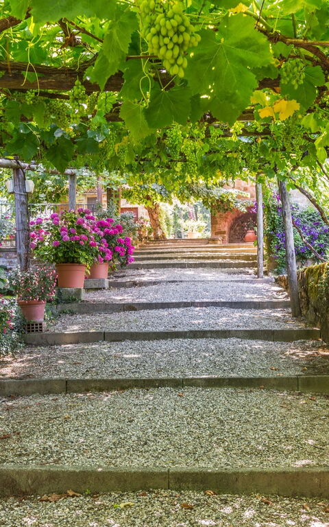 Palazzo Rosadi: Hage