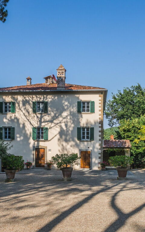 Palazzo Rosadi: Utendørs