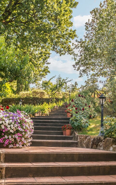 Torre Del Cielo: Hage