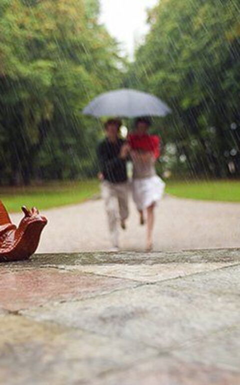 Ca' Marcello: Hage, Utendørs