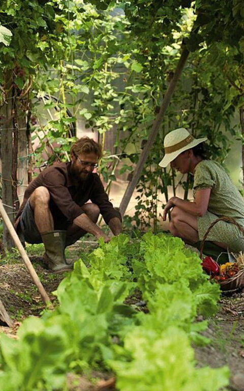 Ca' Marcello: Utendørs